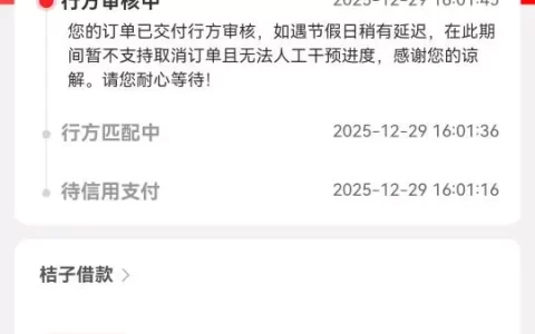桔多多行方审核中要多久？真实经历汇总，超24小时别慌